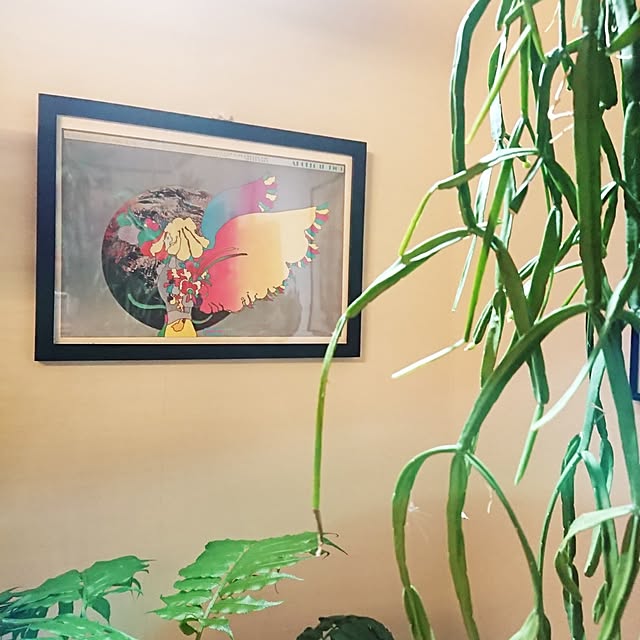 ot-gardenさんの部屋