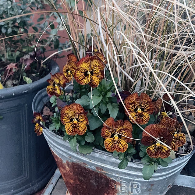 hanaさんの実例写真