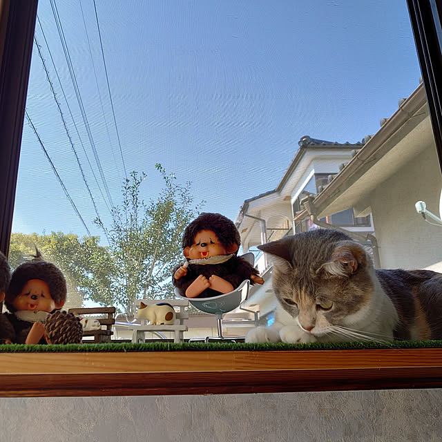 fukuさんの実例写真