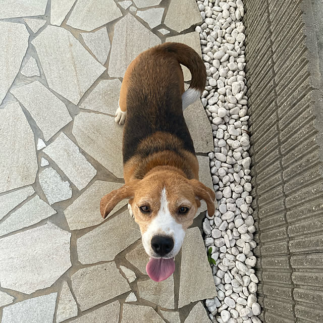 yuuuuukさんの実例写真