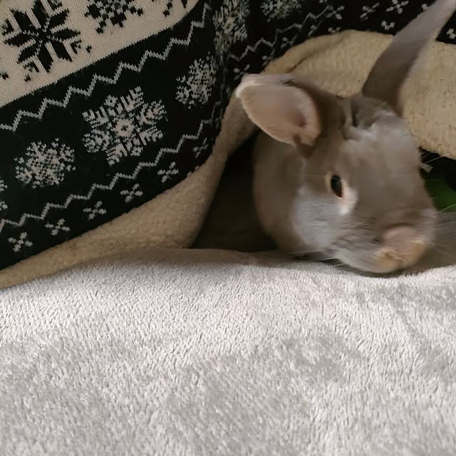 mori_6_12さんの実例写真