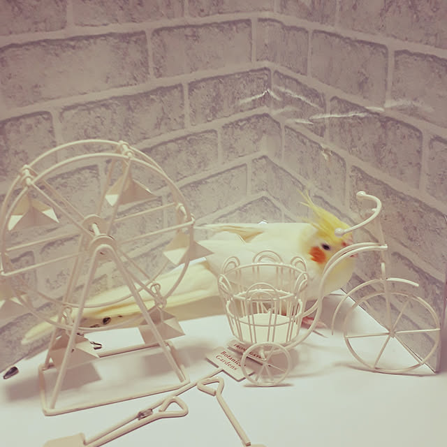 ANTENNAさんの実例写真