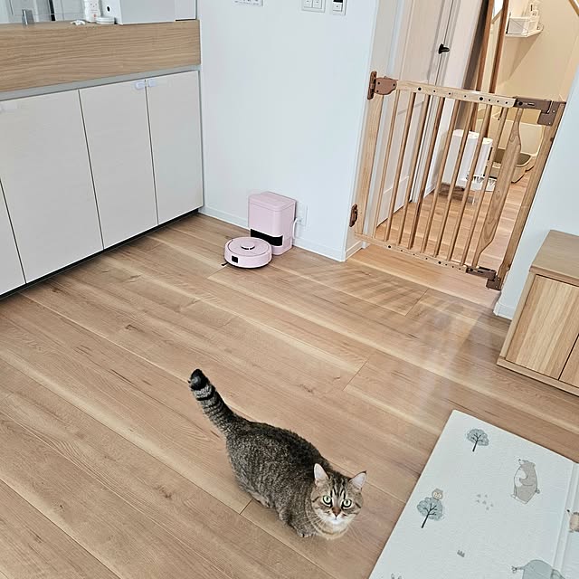 annyaさんの部屋