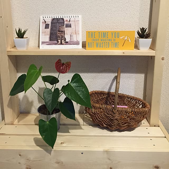 OYUKIさんの実例写真