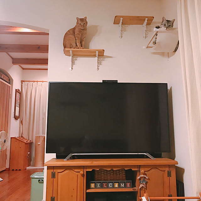 mako0301さんの実例写真