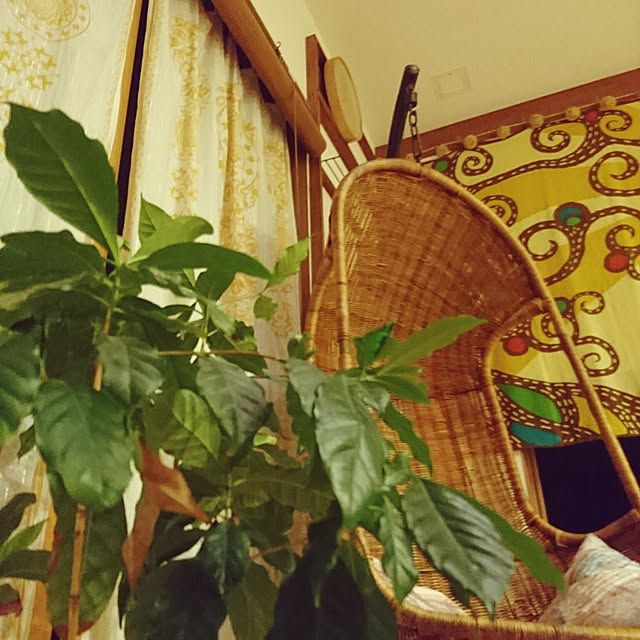 Hal-Toさんの実例写真