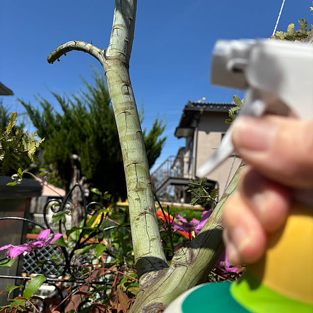 momocchiさんの部屋