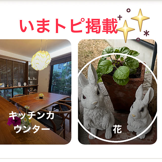 ritsukoさんの実例写真