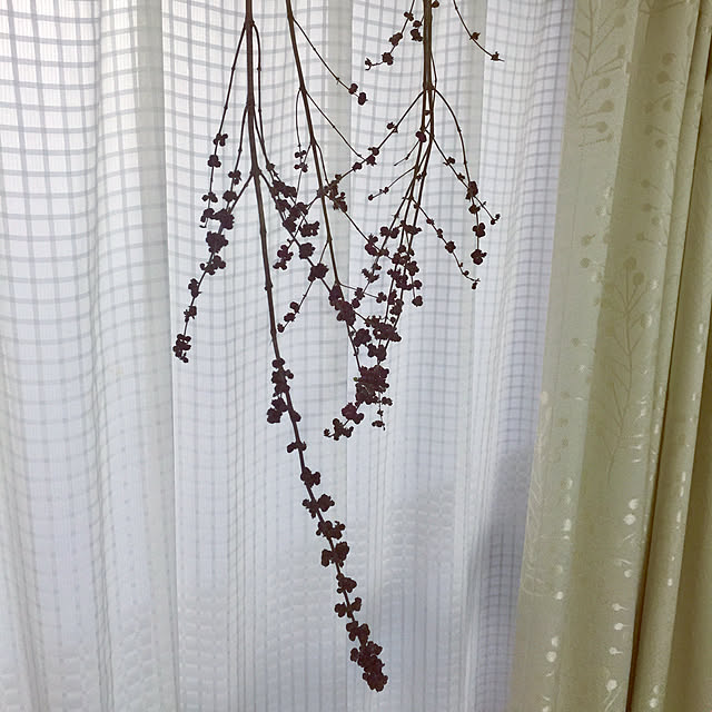 kojiro120513さんの実例写真
