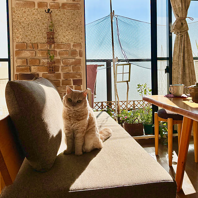 naokoさんの実例写真