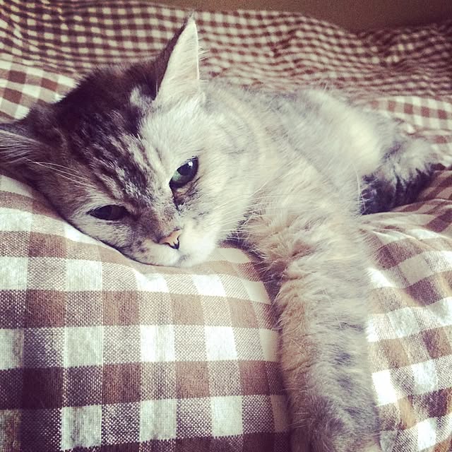 taeさんの実例写真