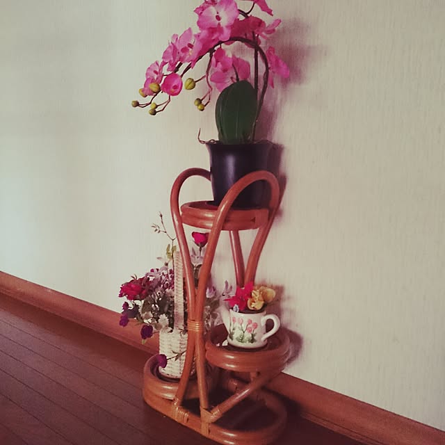 sanariさんの実例写真