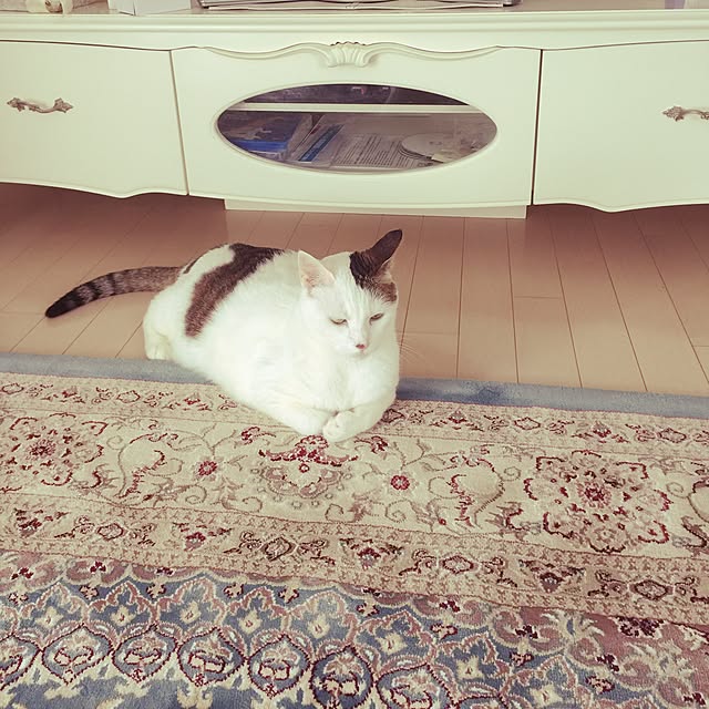 coedodecoさんの実例写真