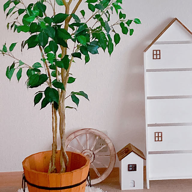 Hanakaさんの部屋