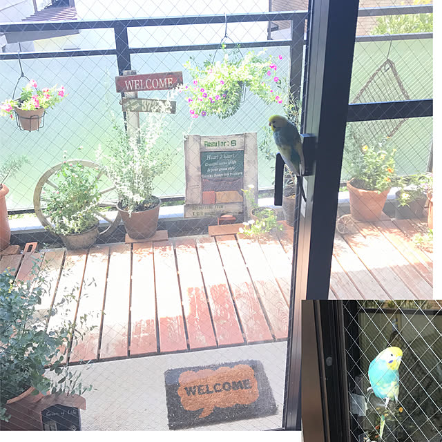 Unokiさんの実例写真