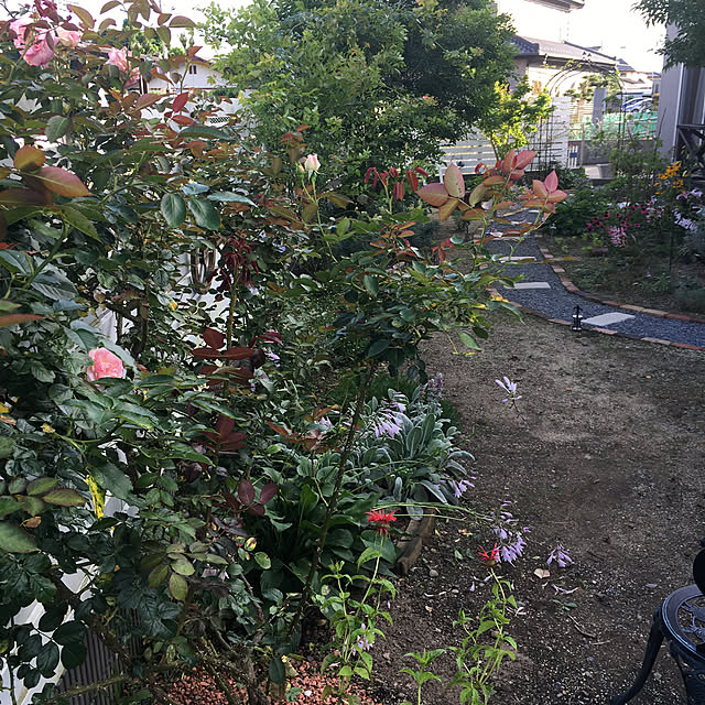 pandaさんの実例写真