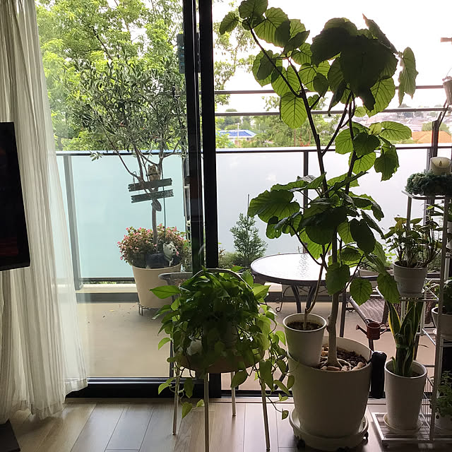 coomamさんの部屋