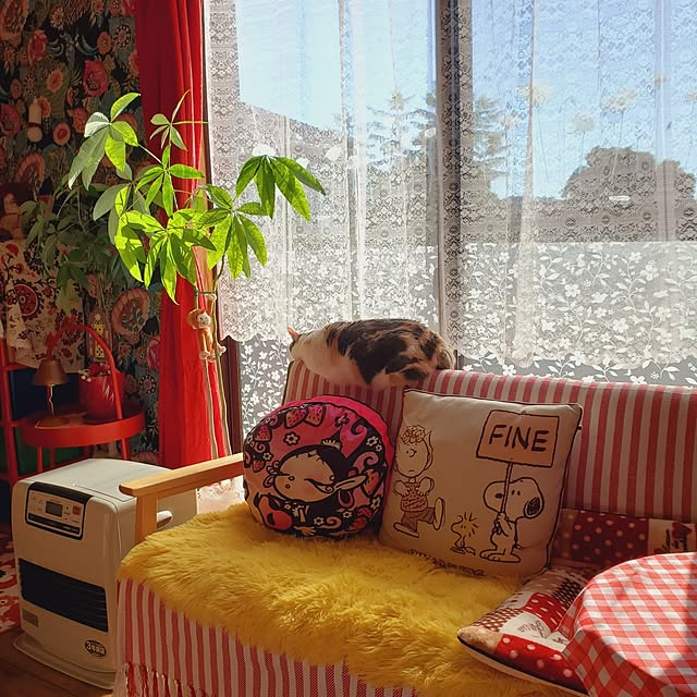 kumutanさんの部屋