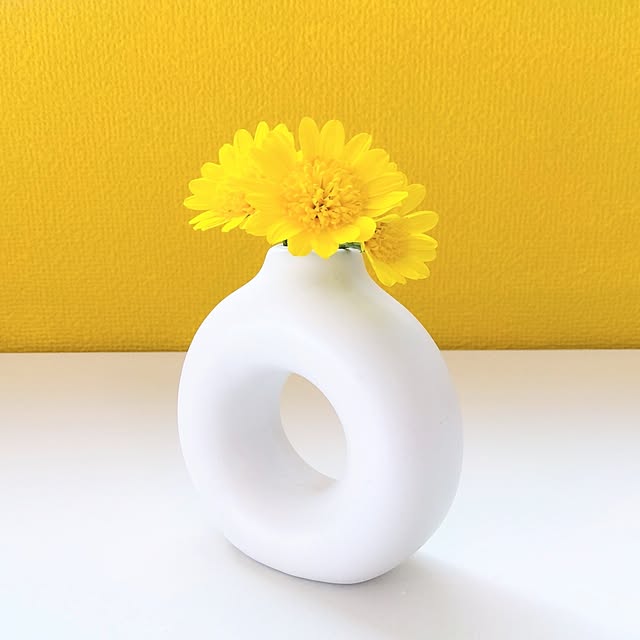 オステオ/オステオスペルマム/花のある暮らし/IKEA/黄色...などのインテリア実例 - 2024-04-26 06:03:24