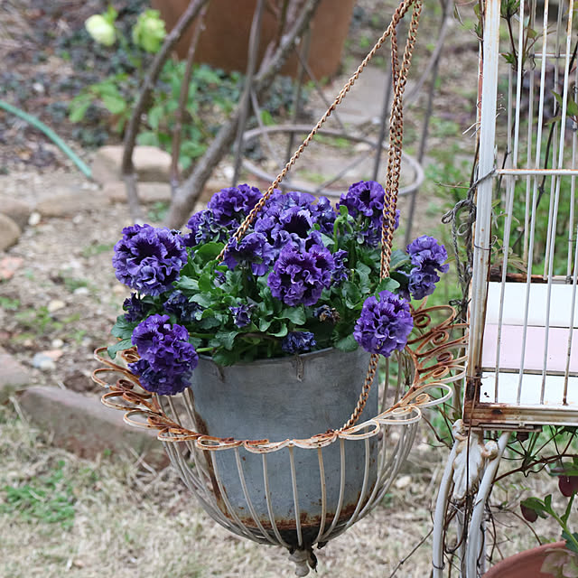 rokokoさんの部屋