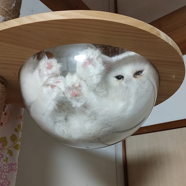 makaronさんの実例写真