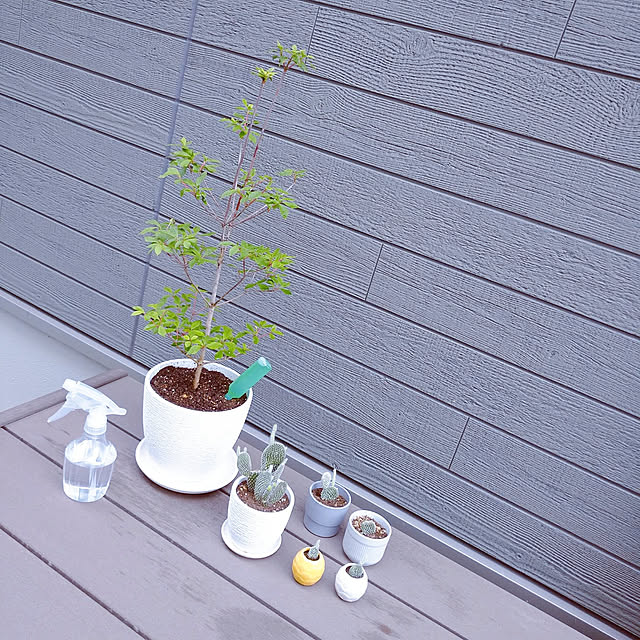 nasieのイケア-SKAKIG スカーキグ 植木鉢の家具・インテリア写真
