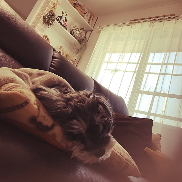 tamaeさんの実例写真