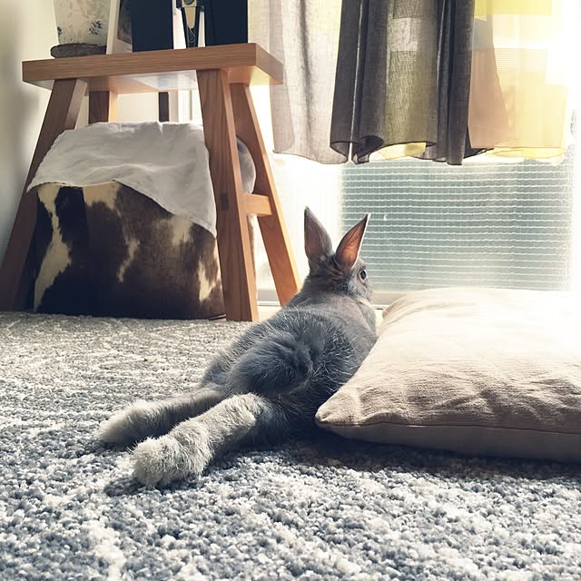 naonishiさんの実例写真