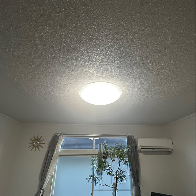 aoiさんの実例写真