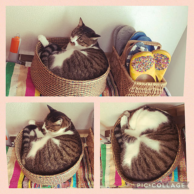 jijiさんの実例写真