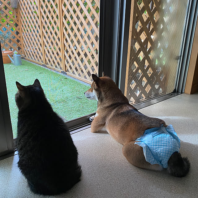 nocomomさんの実例写真