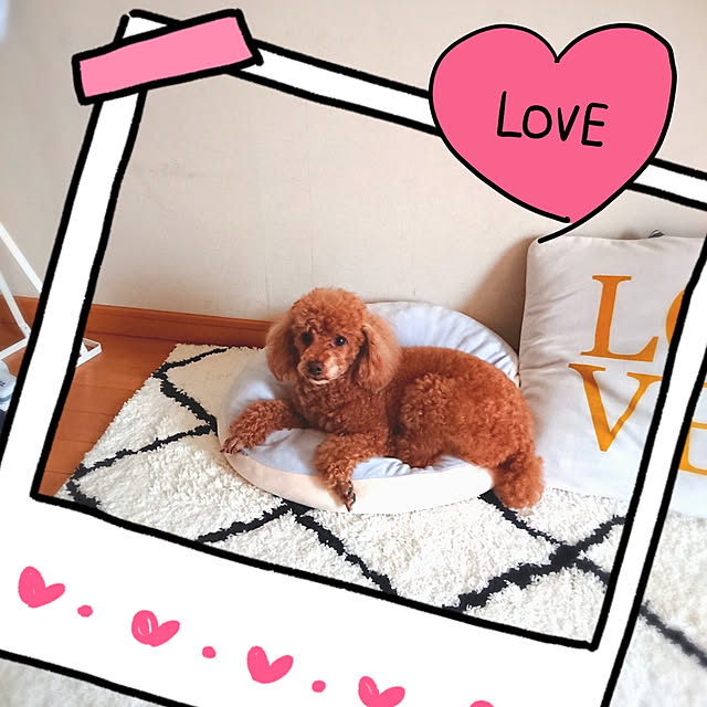mkrさんの実例写真
