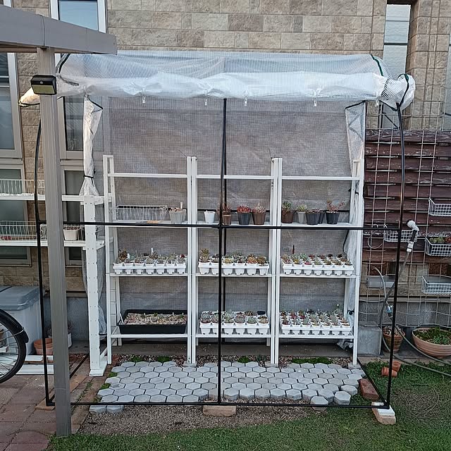 soyokoさんの部屋