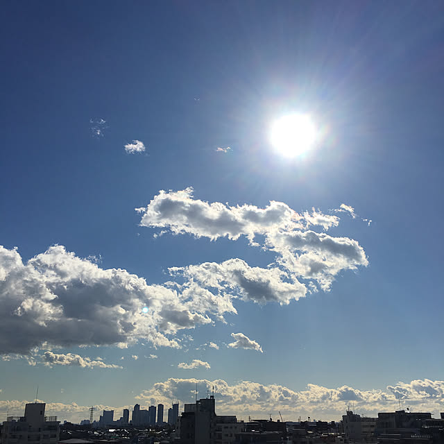実例写真