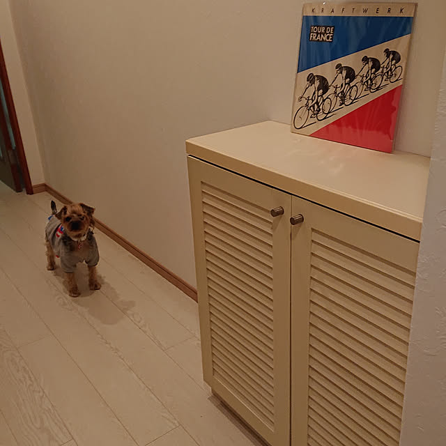 captainfunkさんの実例写真