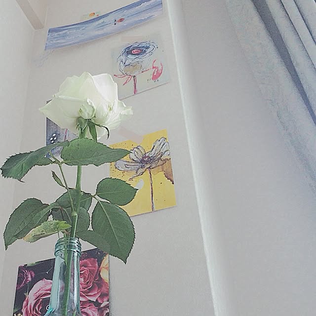 erikaさんの実例写真