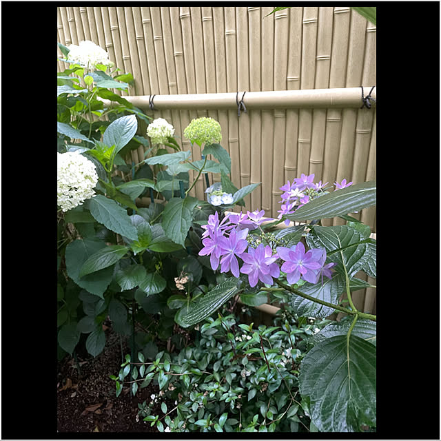 mamizaさんの実例写真