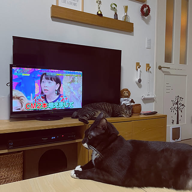 masamasaさんの実例写真