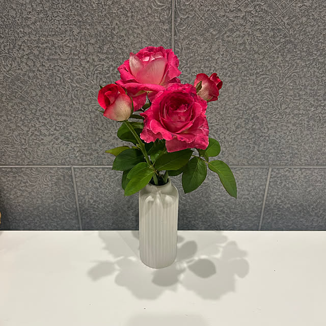 banbinaさんの部屋