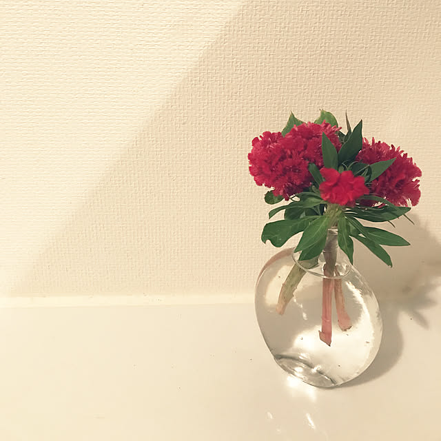 chisaさんの実例写真
