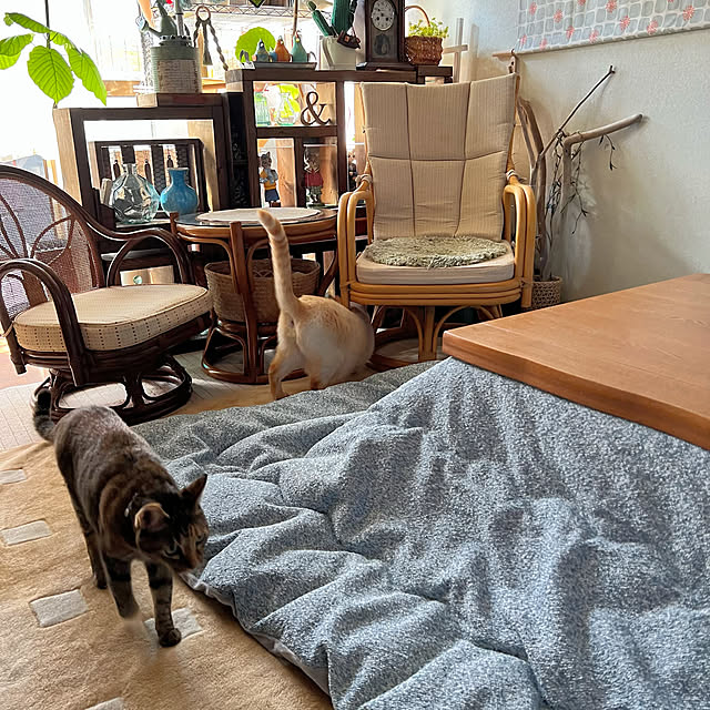 mohhaさんの部屋