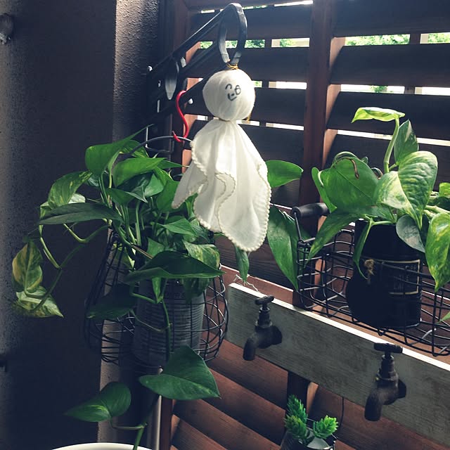 kiyomiさんの実例写真