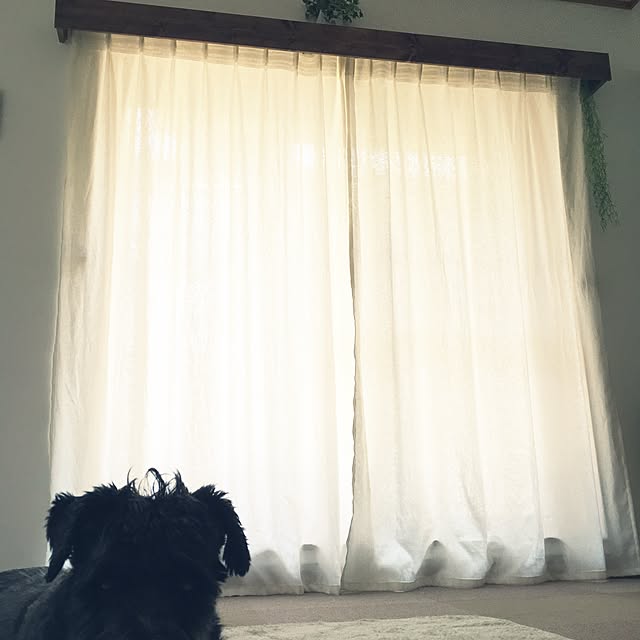 mayuさんの実例写真