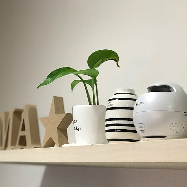 copoohさんの実例写真