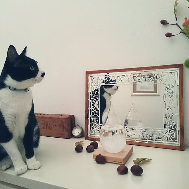 hiyo.pietさんの実例写真