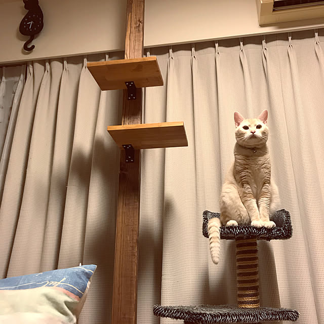 hiyupan88さんの実例写真