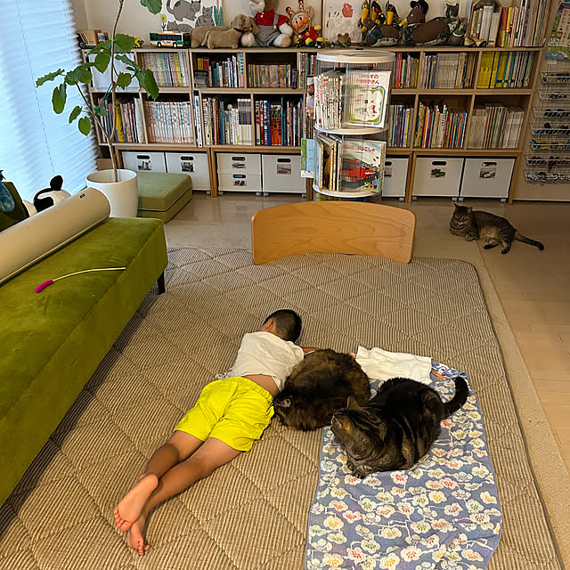 mikomaruさんの実例写真
