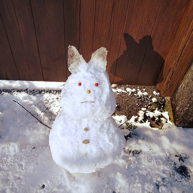 Rinさんの実例写真