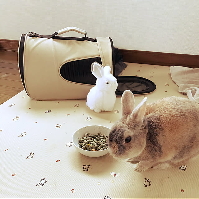 acoさんの実例写真