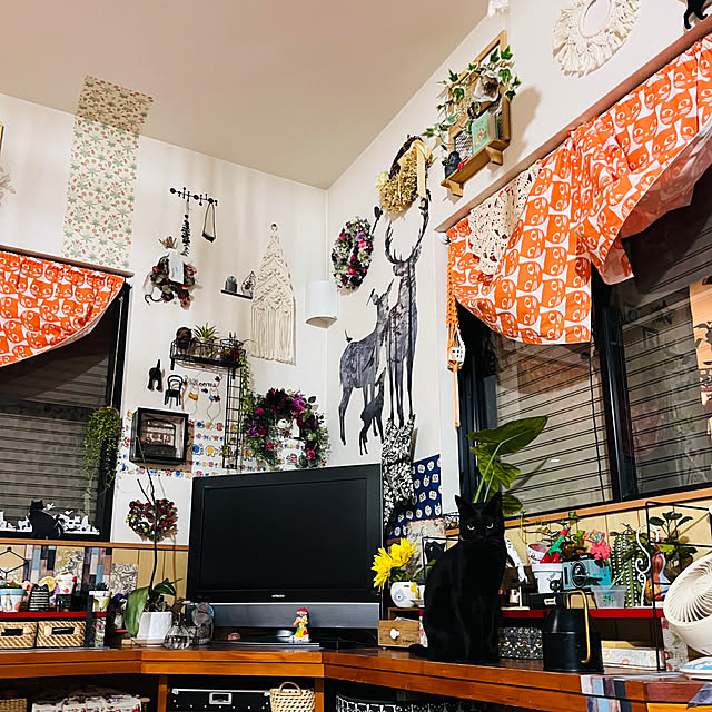 jijiさんの部屋